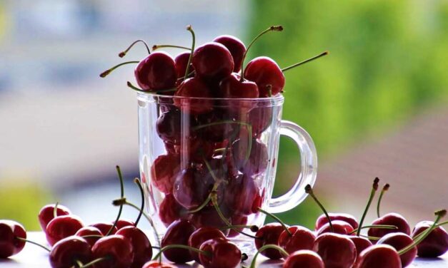 Városi élet: hogyan találjunk harmóniát a mindennapokban?