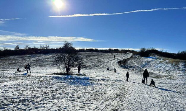 Itt a 20 legjobb szánkózóhely Budapesten és környékén – friss lista, szuper helyszínek, garantált szórakozás