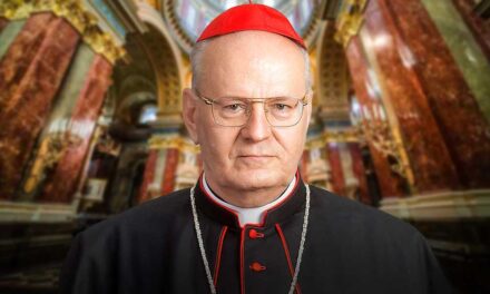 Több sürgős műtéten esett át Erdő Péter bíboros, a katolikus egyház tagjai a gyógyulásáért imádkozik