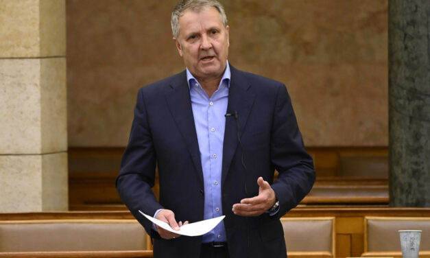 Lezuhant a lépcsőről Molnár Gyula, a 11. kerület volt polgármestere napok óta súlyos állapotban van