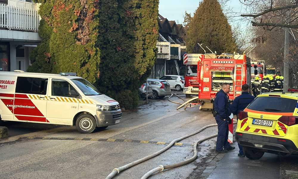 „Hatalmas durranásra és füstre ébredtem” – elképesztő hogyan sikerült Gábornak túlélnie a budakeszi tűzvészt