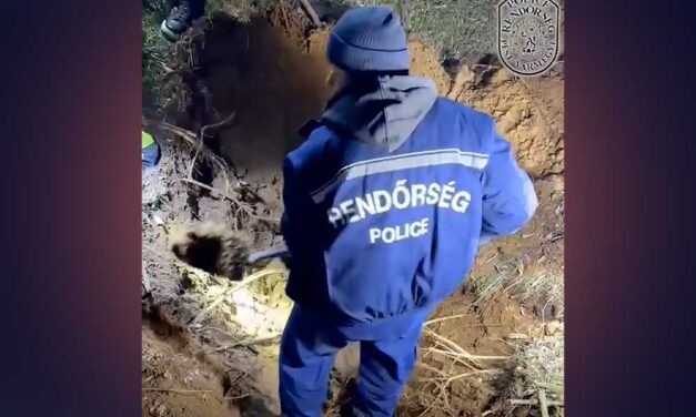 Ceglédberceli gyilkosság: kiderült miért végezte ki, majd ásta el 27 évvel ezelőtt feleségét a vasutas – videó a cikkben