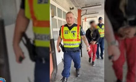 Támadás Csörögön: baltával és bottal bántalmaztak egy férfit