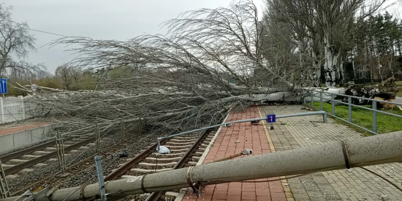 Akkora szélvihar tombol a Balaton partján, hogy fa dőlt a sínekre: nem járnak a vonatok