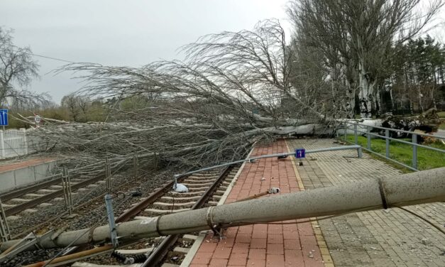 Akkora szélvihar tombol a Balaton partján, hogy fa dőlt a sínekre: nem járnak a vonatok