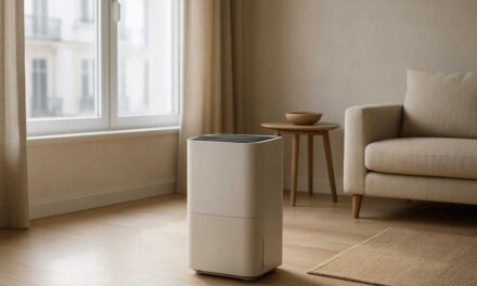 Hatékony megoldás a levegő nedvességtartalmára