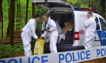 Felfoghatatlan bűntett a Marina Parton: kivégezték a párt, feldarabolták a holttestüket, majd elásták őket egy mésszel teli gödörben a Pilisben