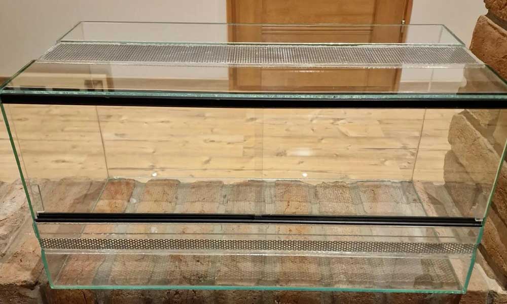 Miért jó hüllőt tartani?