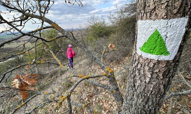 Tavaszi zsongás Budapest környékén: 10 tökéletes szabadtéri program az agglomerációban