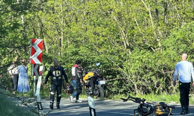 Erdőbe repült a motoros a szerpentinen: Drámai pillanatok a hírhedt kanyarvadászaton – Helyszíni fotók