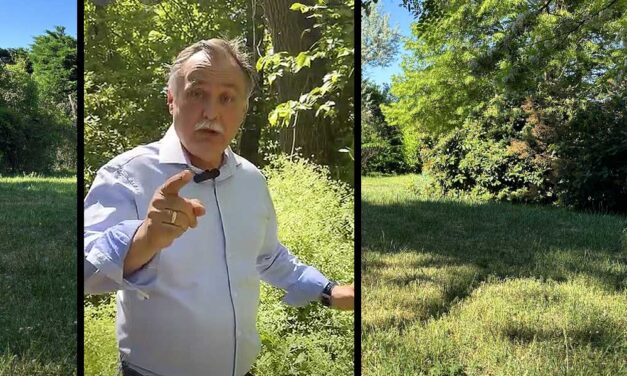 Itt a péntek délutáni fűnyírás ideje, azonban az új miniszter, Gajdos László azt kéri, hogy májusban ne vágjunk füvet, mit szólnak majd a vendégek és a szomszédok?
