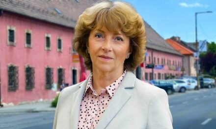Egyre valószínűbbnek tartja az előrehozott önkormányzati választásokat Vác polgármestere Matkovich Ilona, aki már lépett is az ügyben
