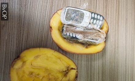 Krumpliba rejtett mobilokat dobáltak be a fővárosi börtön udvarába