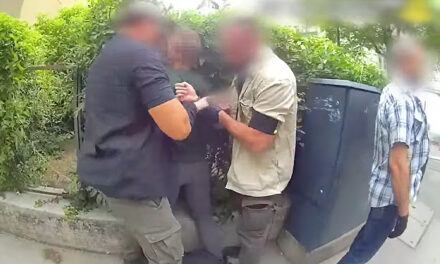A Budai Irgalmasrendi Kórházban dolgozott a beteghordozó kannibál, aki emberi szívet lopott a patológiáról, majd megette azt