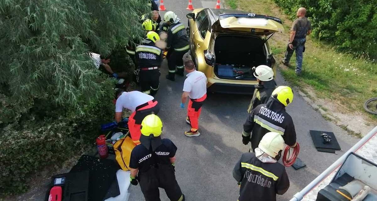 Meghalt a kórházban az a 11 éves kisfiú, akit hetekkel ezelőtt, biciklizés közben gázolt el egy nő a 2. kerületben