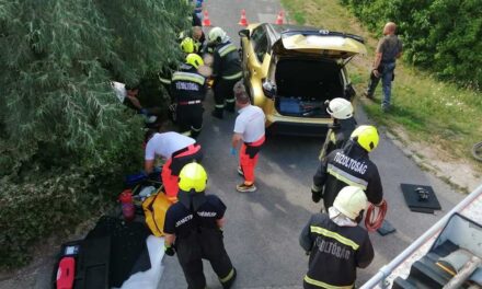 Meghalt a kórházban az a 11 éves kisfiú, akit hetekkel ezelőtt, biciklizés közben gázolt el egy nő a 2. kerületben