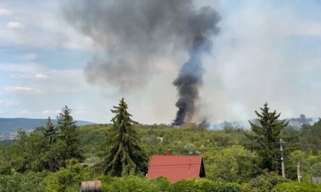 Tűz Törökbálinton: 39 hektáros területen lángol a  növényzet, a polgármester kéri, hogy a környékbeliek ne tartózkodjanak a szabadban