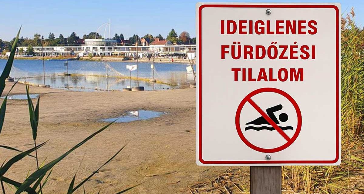 Fürdőzési tilalom a Velencei-tónál és Dunaújvárosban – Több népszerű strandot is lezártak!