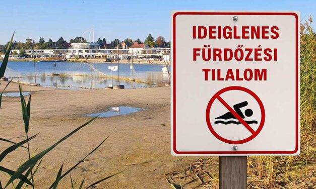 Fürdőzési tilalom a Velencei-tónál és Dunaújvárosban – Több népszerű strandot is lezártak!