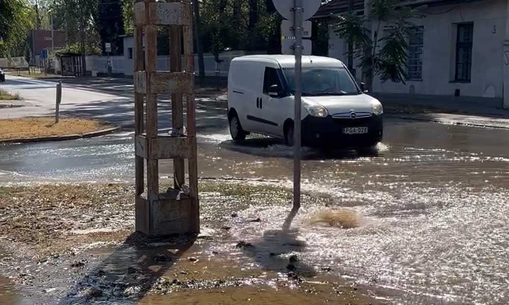 Miközben országos vízkorlátozást vezettek be, a 16. kerületben, csőtörés miatt, folyik el az aranyat érő ívóvíz