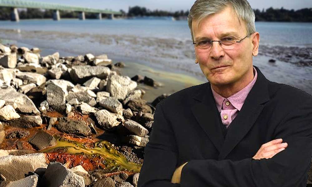 Rákkeltő zöld trutyi szivárog a Dunába Óbudánál – Az egykori főpolgármester, Demszky Gábor is megszólalt az ügyben