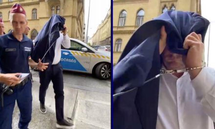 Elszámoltatás: letartóztatták Tiborcz István egykori üzlettársát, az ország 7. leggazdagabb emberét – videó a cikkben