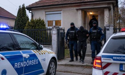Drámai perceket élt át az érdi asszony: Betört a házba és letépte a nyakából az aranyláncot a gátlástalan rabló