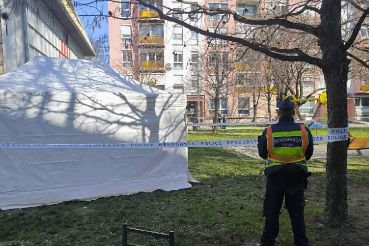 Kiderült: egy 52 éves lajosmizsei nő holttestét találták meg egy bokorban, aki halála előtt, a nyílt utcán közösült a 22 éves férfival