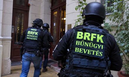 Razziasorozat a belvárosban: Rablókat, drogkereskedőket és bujkáló elítéltet fogtak el Terézvárosban – Videó