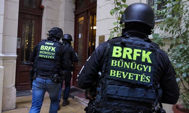 Razziasorozat a belvárosban: Rablókat, drogkereskedőket és bujkáló elítéltet fogtak el Terézvárosban – Videó